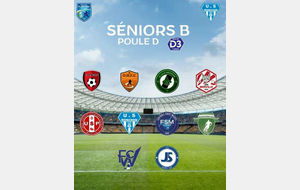Poule Séniors B D3