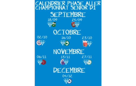 CALENDRIER PHASE ALLER SENIOR D1