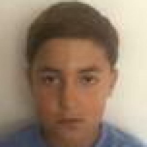 Wael Sid Elazara
