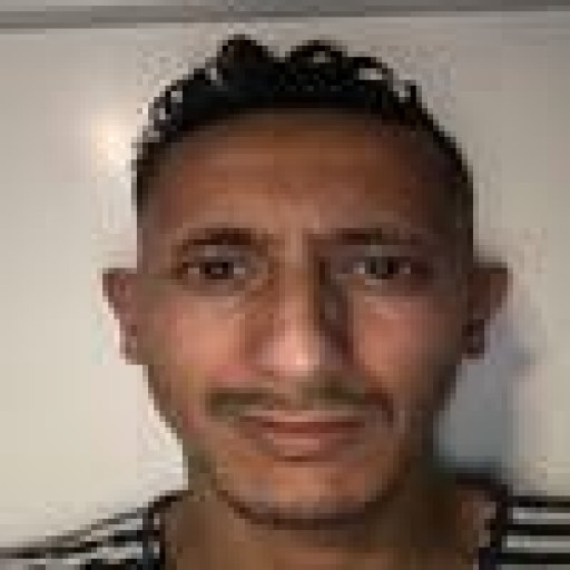Taofick Majdi