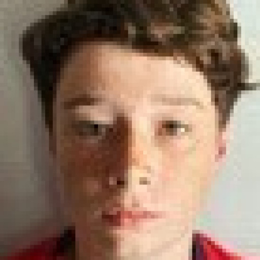Louis Duhamel