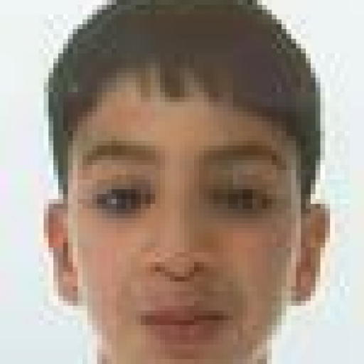 Nabil Essaidi
