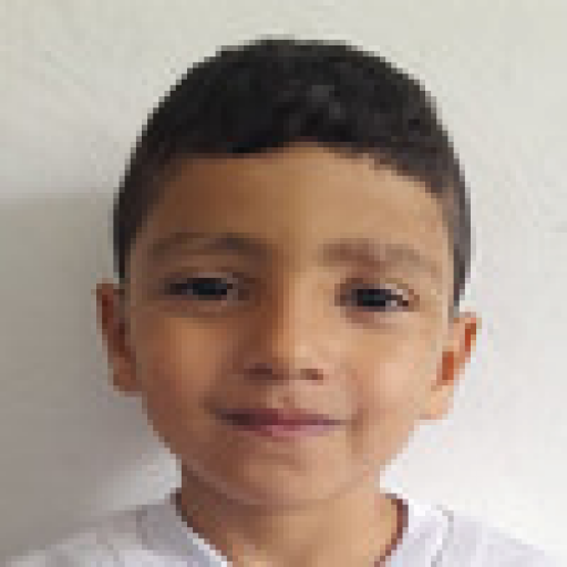 Aylan Sadi