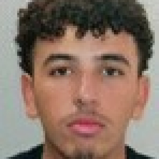 Amir Samlali