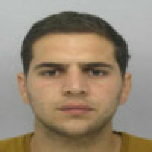 Enzo Dulin