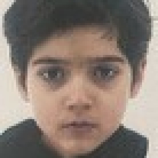 Nassim Harizi Behri
