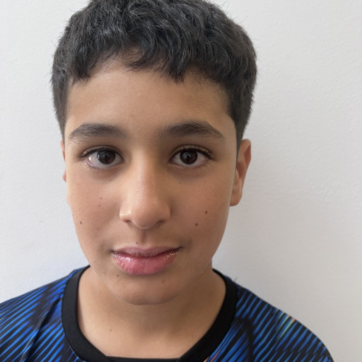Nael Faouzi