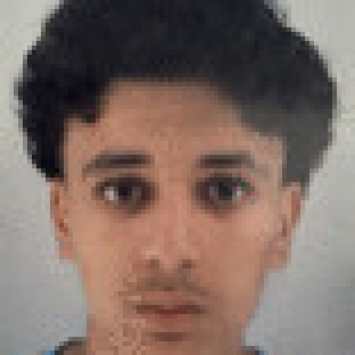Yanis Yajjou